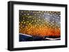 The Scales of a Spawning Male Brook Trout in Southern Patagonia, Argentina-Matt Jones-Framed Photographic Print