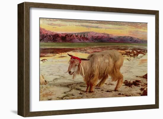 The Scapegoat, 1854-William Holman Hunt-Framed Giclee Print