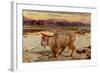 The Scapegoat, 1854-William Holman Hunt-Framed Giclee Print