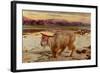 The Scapegoat, 1854-William Holman Hunt-Framed Giclee Print