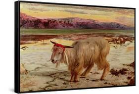 The Scapegoat, 1854-William Holman Hunt-Framed Stretched Canvas