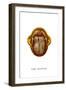 The Scarab, 1923-null-Framed Giclee Print