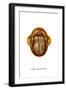 The Scarab, 1923-null-Framed Giclee Print