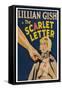 The Scarlet Letter-null-Framed Stretched Canvas