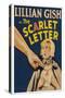 The Scarlet Letter-null-Stretched Canvas