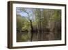 The Scenic Delta-Carol Highsmith-Framed Art Print