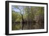 The Scenic Delta-Carol Highsmith-Framed Premium Giclee Print