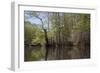 The Scenic Delta-Carol Highsmith-Framed Premium Giclee Print