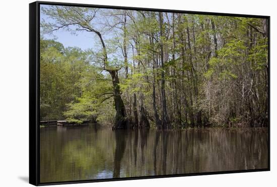 The Scenic Delta-Carol Highsmith-Framed Stretched Canvas