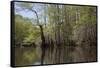 The Scenic Delta-Carol Highsmith-Framed Stretched Canvas