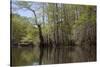 The Scenic Delta-Carol Highsmith-Stretched Canvas