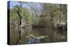 The Scenic Delta-Carol Highsmith-Stretched Canvas