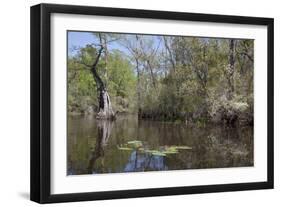 The Scenic Delta-Carol Highsmith-Framed Art Print