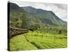 The Scenic Train Ride Through the Central Highlands, with its Mountains and Tea Plantations, Near N-Rob Francis-Stretched Canvas