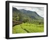 The Scenic Train Ride Through the Central Highlands, with its Mountains and Tea Plantations, Near N-Rob Francis-Framed Photographic Print