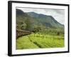 The Scenic Train Ride Through the Central Highlands, with its Mountains and Tea Plantations, Near N-Rob Francis-Framed Photographic Print