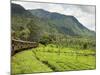 The Scenic Train Ride Through the Central Highlands, with its Mountains and Tea Plantations, Near N-Rob Francis-Mounted Photographic Print