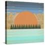 The Scenic View 2-Tammy Kushnir-Stretched Canvas