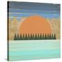 The Scenic View 2-Tammy Kushnir-Stretched Canvas