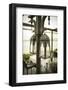 The Scent Boutique Hotel, Bo Phut, Koh Samui, Thailand-Jon Arnold-Framed Photographic Print