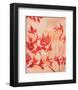 The Scent of Jasmine-Hannah Klaus Hunter-Framed Art Print