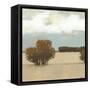 The Scent of Rain I-Norman Wyatt Jr.-Framed Stretched Canvas