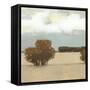 The Scent of Rain I-Norman Wyatt Jr.-Framed Stretched Canvas