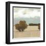 The Scent of Rain I-Norman Wyatt Jr.-Framed Art Print