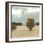 The Scent of Rain II-Norman Wyatt Jr.-Framed Art Print