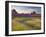 The Scent of Summer-Doug Chinnery-Framed Photographic Print