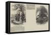 The Schleswig-Holstein War-null-Framed Stretched Canvas