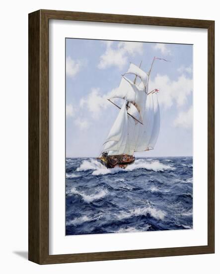 The Schooner 'H.M.S. Pickle', c.1992-James Brereton-Framed Giclee Print