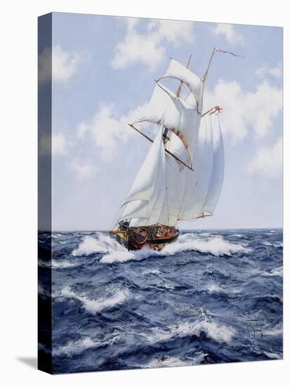 The Schooner 'H.M.S. Pickle', c.1992-James Brereton-Stretched Canvas