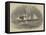 The Schooner Waterloo Struck by a Whale-null-Framed Stretched Canvas