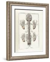 The Science of Human Anatomy by Bartholomeo Eustachi-Stocktrek Images-Framed Art Print