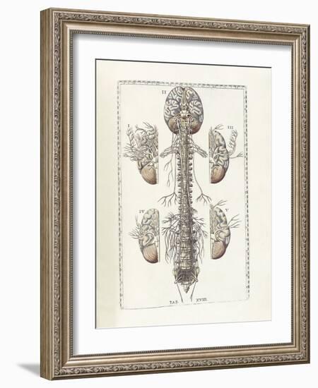 The Science of Human Anatomy by Bartholomeo Eustachi-Stocktrek Images-Framed Art Print