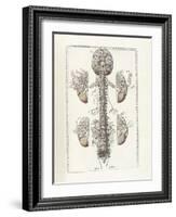 The Science of Human Anatomy by Bartholomeo Eustachi-Stocktrek Images-Framed Art Print