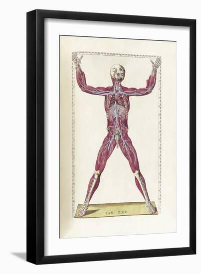 The Science of Human Anatomy by Bartholomeo Eustachi-Stocktrek Images-Framed Art Print