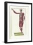 The Science of Human Anatomy by Bartholomeo Eustachi-Stocktrek Images-Framed Art Print