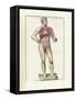 The Science of Human Anatomy by Bartholomeo Eustachi-Stocktrek Images-Framed Stretched Canvas