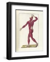 The Science of Human Anatomy by Bartholomeo Eustachi-Stocktrek Images-Framed Art Print