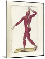 The Science of Human Anatomy by Bartholomeo Eustachi-Stocktrek Images-Mounted Art Print