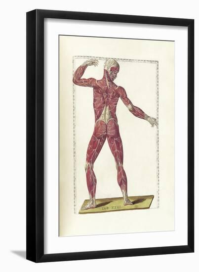 The Science of Human Anatomy by Bartholomeo Eustachi-Stocktrek Images-Framed Art Print