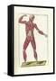 The Science of Human Anatomy by Bartholomeo Eustachi-Stocktrek Images-Framed Stretched Canvas