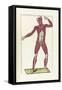 The Science of Human Anatomy by Bartholomeo Eustachi-Stocktrek Images-Framed Stretched Canvas