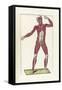 The Science of Human Anatomy by Bartholomeo Eustachi-Stocktrek Images-Framed Stretched Canvas