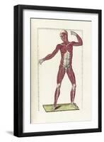 The Science of Human Anatomy by Bartholomeo Eustachi-Stocktrek Images-Framed Art Print