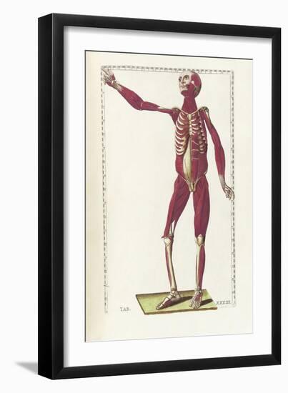 The Science of Human Anatomy by Bartholomeo Eustachi-Stocktrek Images-Framed Art Print