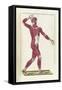 The Science of Human Anatomy by Bartholomeo Eustachi-Stocktrek Images-Framed Stretched Canvas