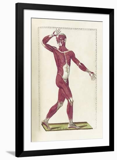 The Science of Human Anatomy by Bartholomeo Eustachi-Stocktrek Images-Framed Art Print